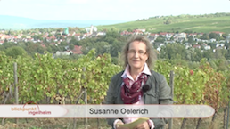 Ingelheim TV